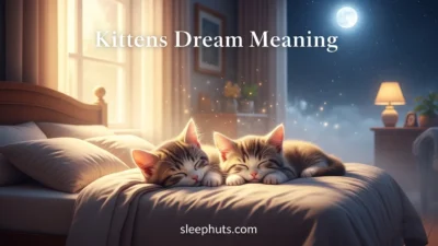 Kittens Dream Meaning