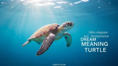 Dream Meaning Turtle