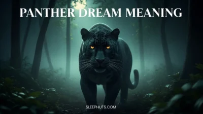 Panther Dream Meaning
